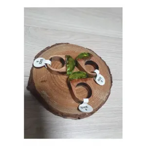 우드 링 (나무 반지) 3개 일괄