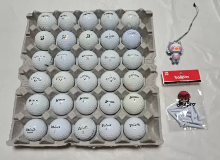 여러 메이커모음 로스트볼 30개 팔아요